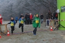 Nikolauscrosslauf 2016 (18)